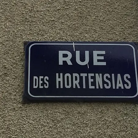 La Maison Hortensias *